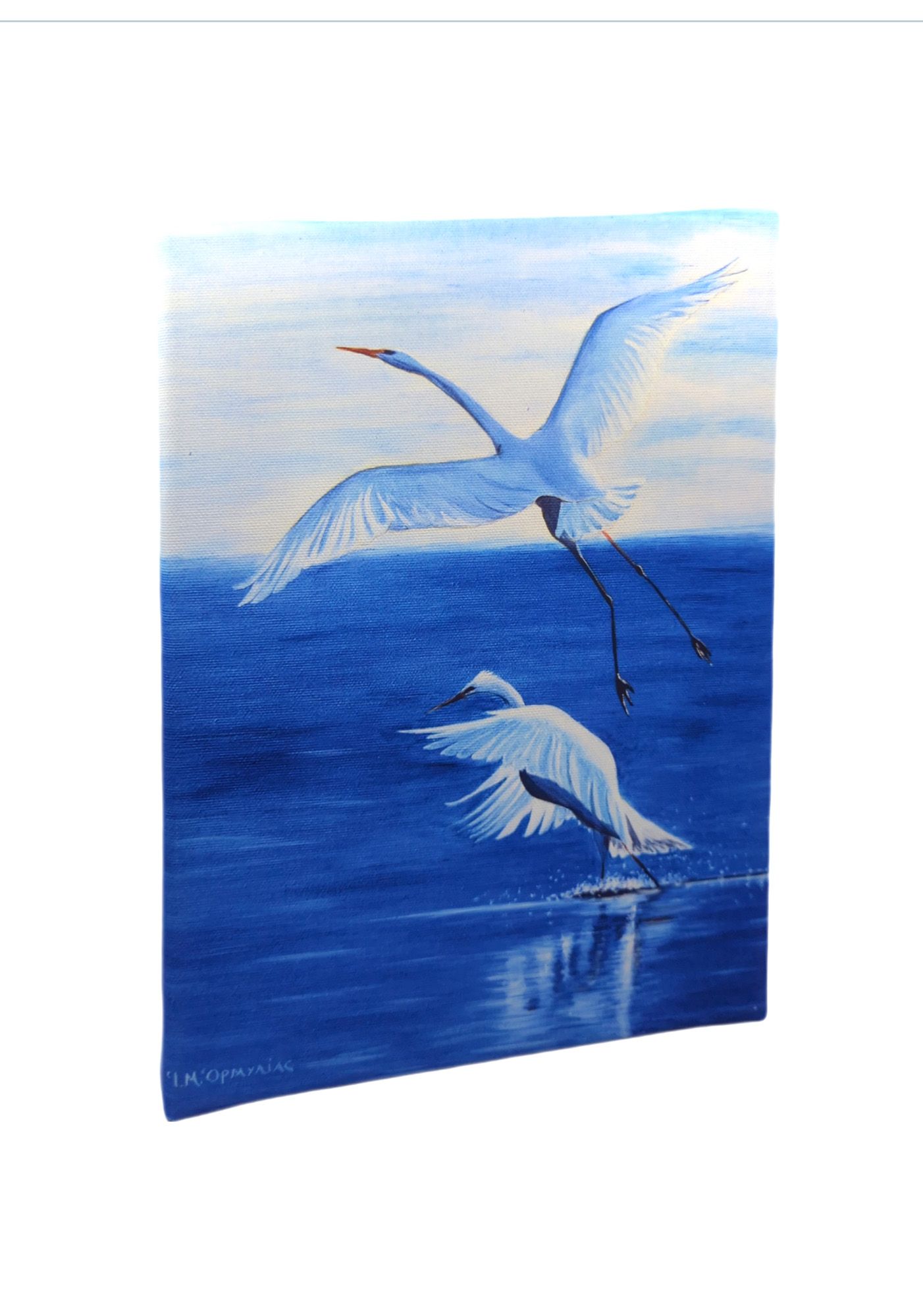 Canvas print – Herons